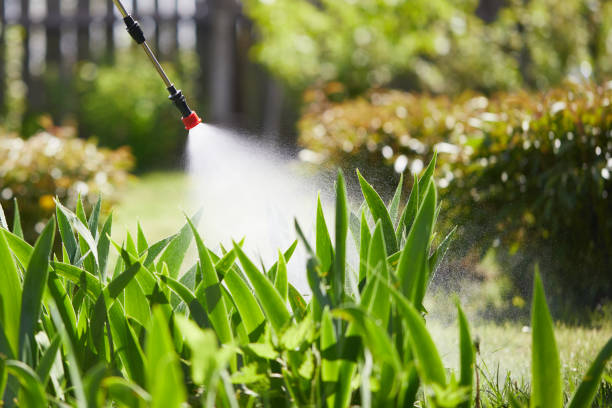 Tamper-Resistant Bait Stations for Rodents in Newcomerstown