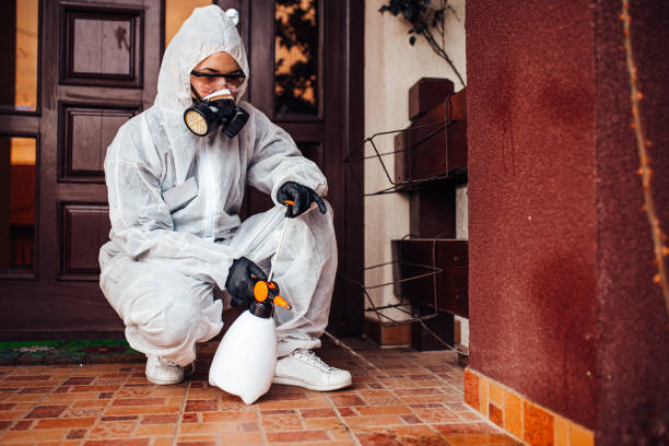 Attic and Crawl Space Rodent Treatment in Newcomerstown