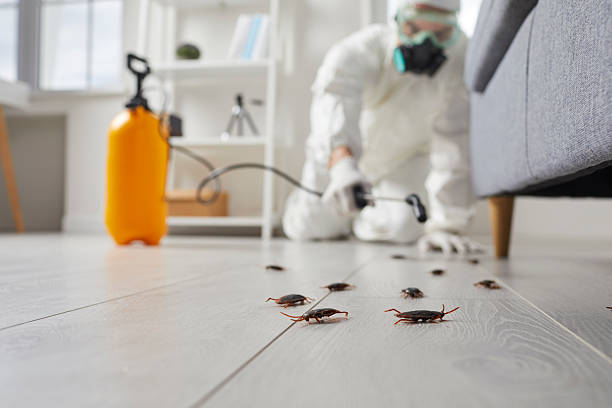 Commercial Rodent Management in Newcomerstown